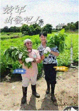 《四色脱口秀》